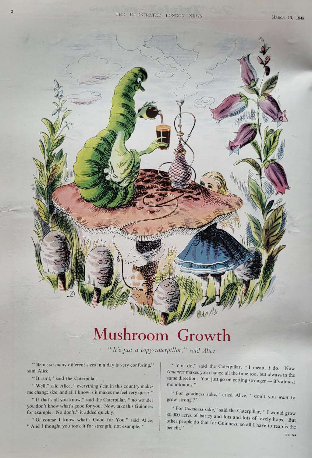 Mar 13 Mushroom Growth